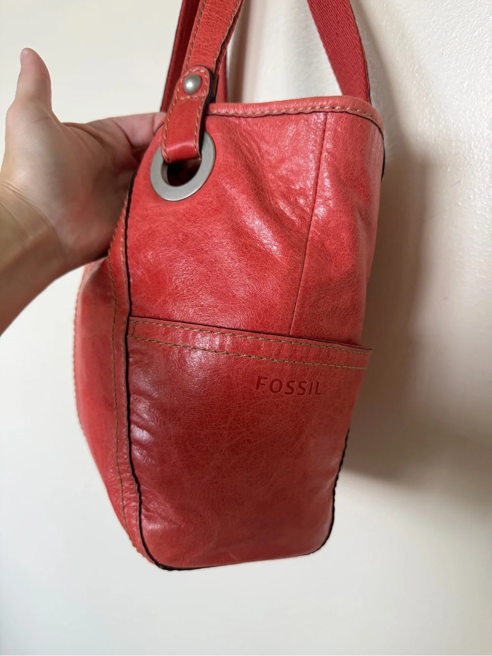 Fossil good photos